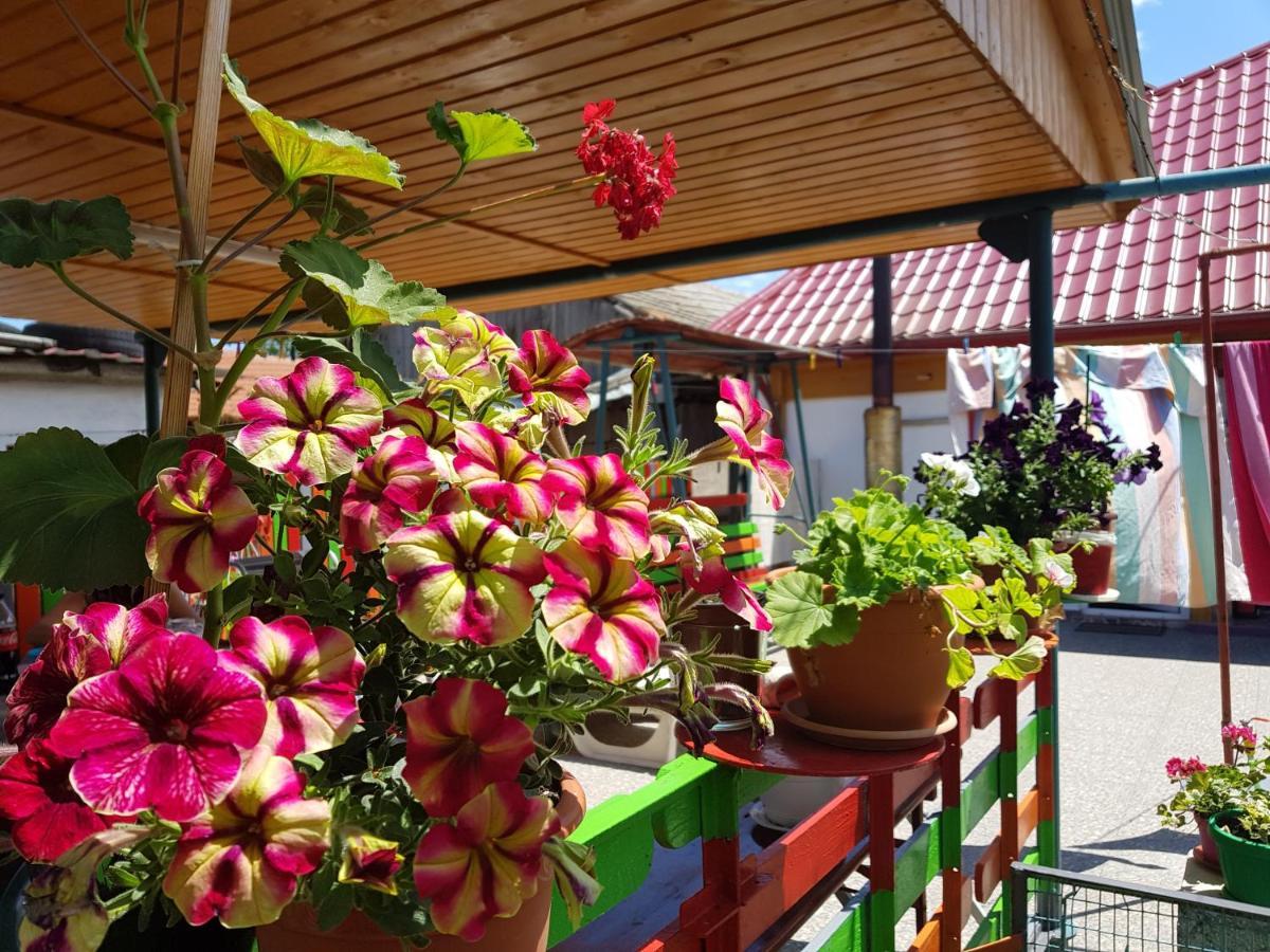 Hotel Casa Simona Două Mai Exteriér fotografie